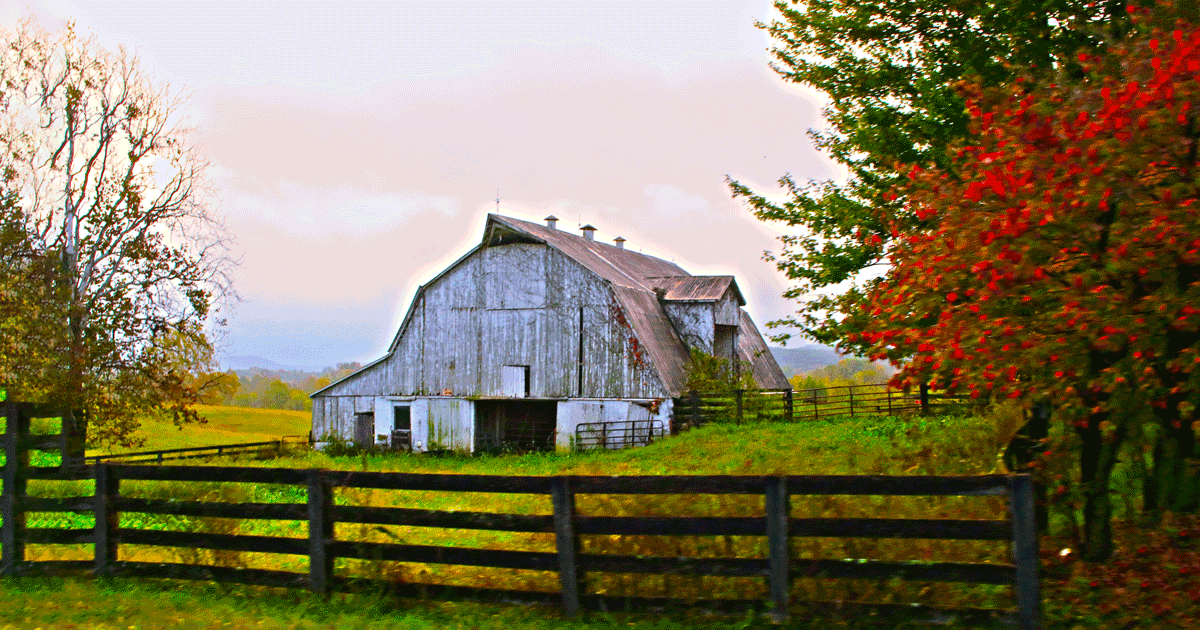 photo-1509826069158-41fafc8a4a42.png